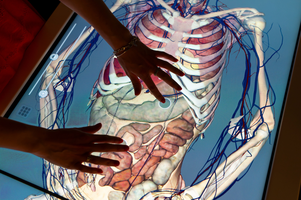 Two hands are touching a table that is a lit up screen of the human body