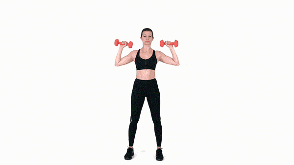 shoulder press shoulder press