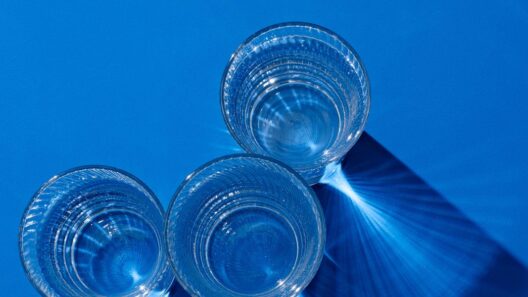 The “Clear” Protein Supplements Are Here