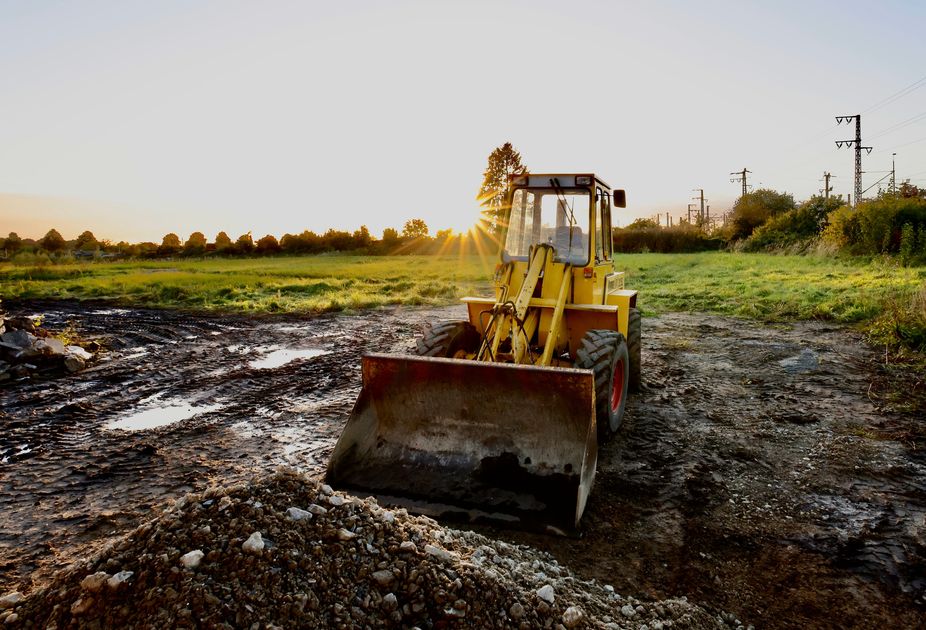 Official Immunity Denied for Contractor in Tree Removal Trespass Claim, Emily Uhl
