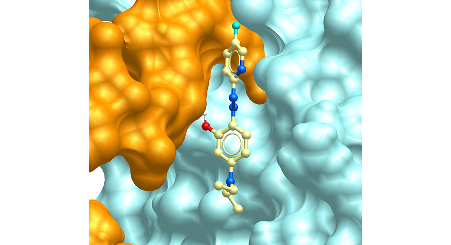 Study shows new drug compounds dial down inflammation without compromising immunity