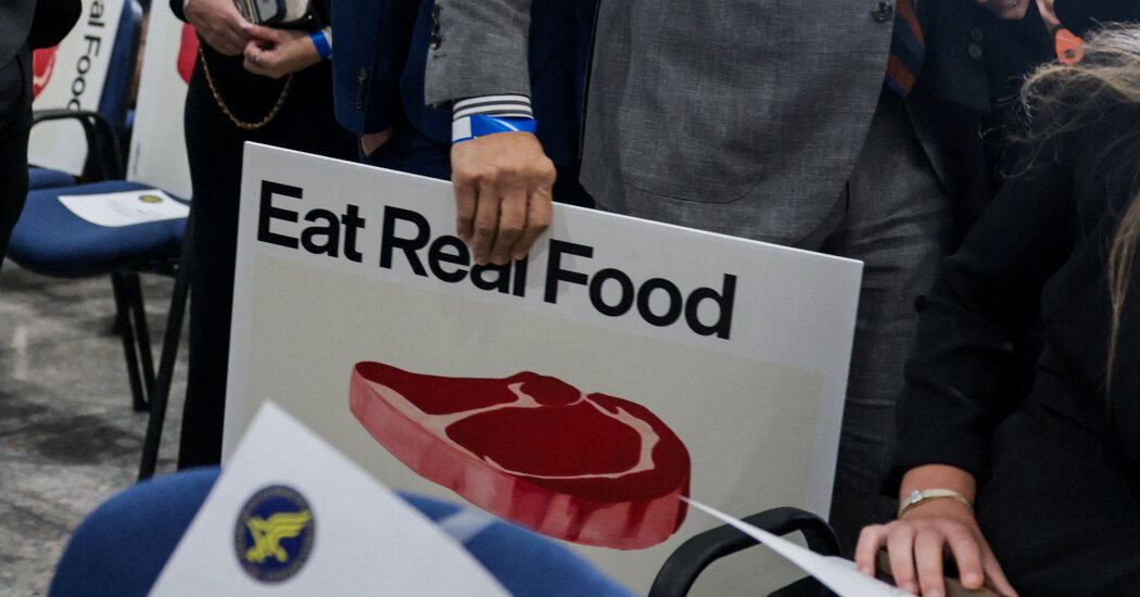 Does the Carnivore Diet Eliminate Visceral Fat?