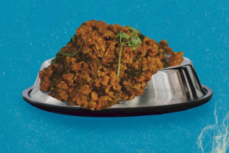 What to know about ‘boy kibble’, the viral meal slop trend