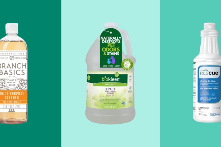 The Best Pet-Safe Floor Cleaners