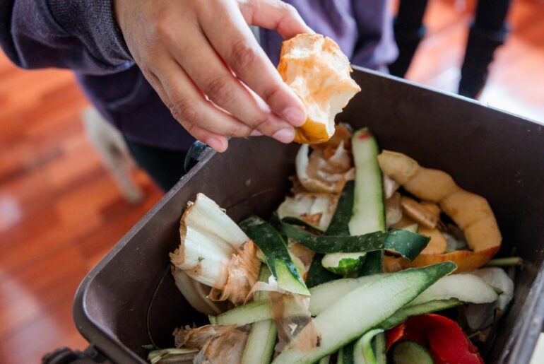 10 Best Compost Bins for Every Space in 2026