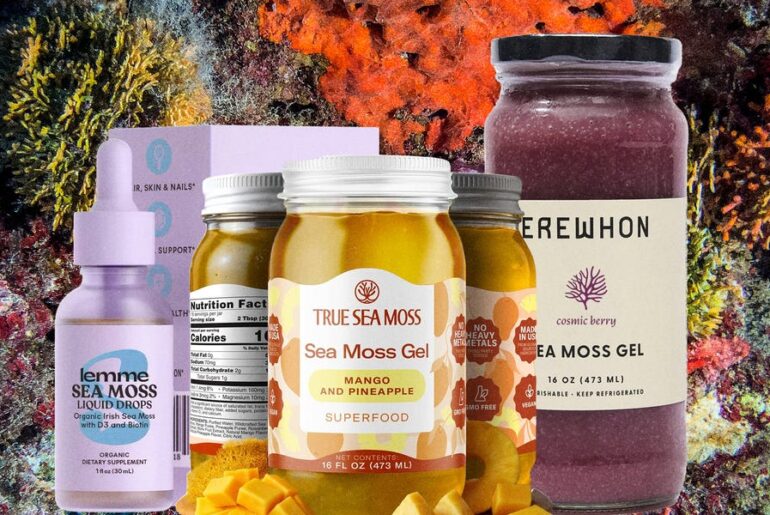 An Expert Guide to Sea Moss: Experts Weigh In