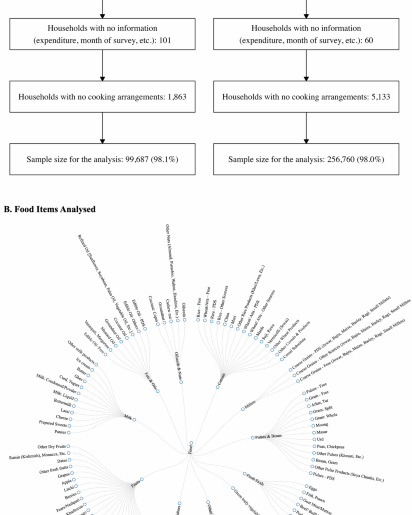 Food consumption patterns and their micronutrient content in India: Evidence from the household consumption expenditure surveys, 2011–12 and 2023–24