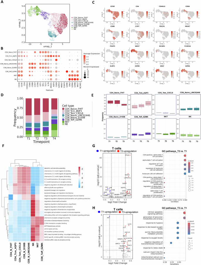 Fig. 4: Changes in T cell and NK cell subsets after COVID-19 vaccination during pregnancy.