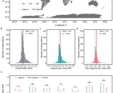 Crop rotations synergize yield, nutrition, and revenue: a meta-analysis