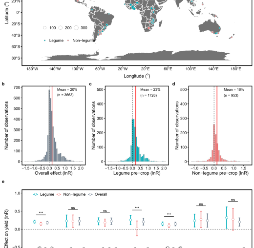Crop rotations synergize yield, nutrition, and revenue: a meta-analysis