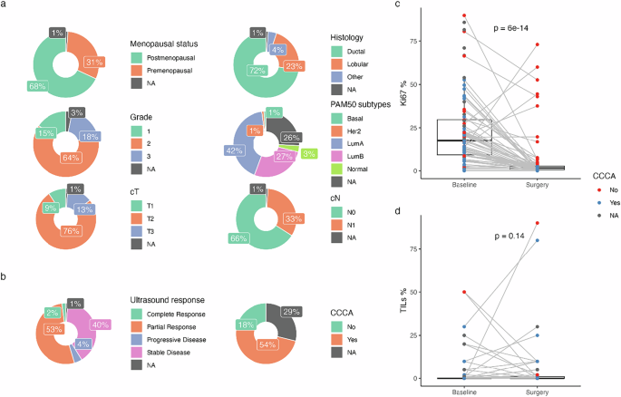 Palbociclib and endocrine therapy diminish adaptive anti-tumor immunity in early breast cancer: The NeoRHEA phase 2 study