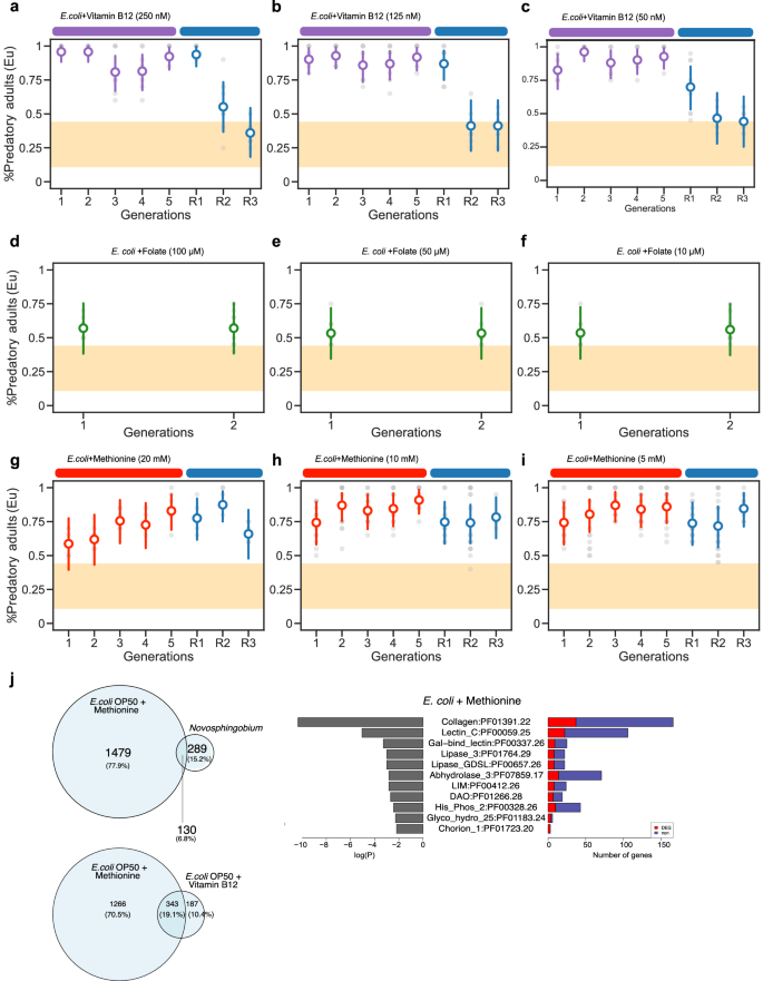 Fig. 4: Memory of the induced predatory mouth form after supplementation with different concentrations of vitamin B12, methionine, and folate.