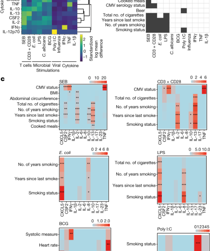 Smoking changes adaptive immunity with persistent effects