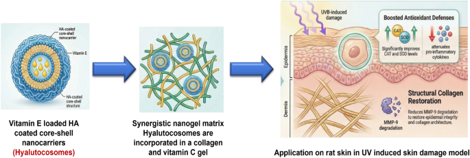 Hyaluronic Acid–Phospholipid Hybrid Nanocarriers (Hyalutocosomes) for Enhanced Dermal Delivery of Vitamin E and Photoprotection