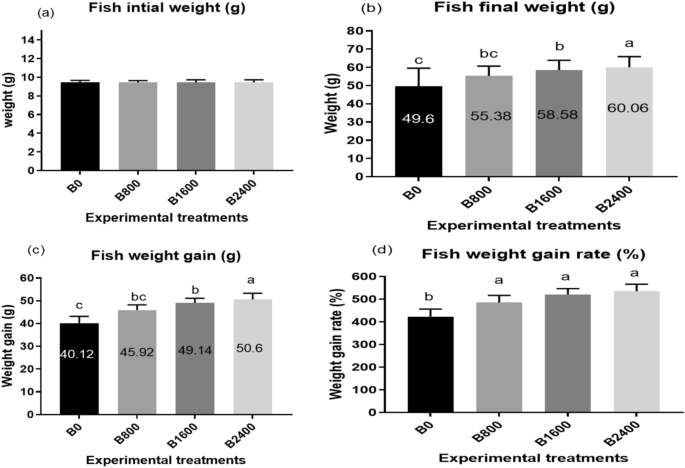 Natural liquid betaine dietary supplementation improves growth performance, immuno-antioxidant responses, and stress resistance in Nile tilapia subjected to acute ammonia challenge