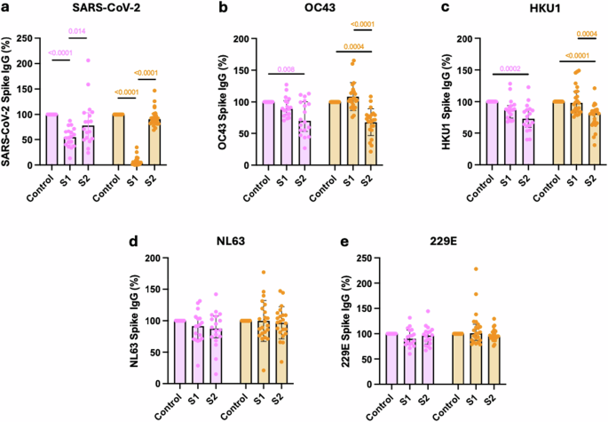 Fig. 3: SARS-CoV-2 vaccination focusses antibody production against SARS-CoV-2 S1 domain whilst HCoV cross-reactive antibodies bind to the S2 domain.