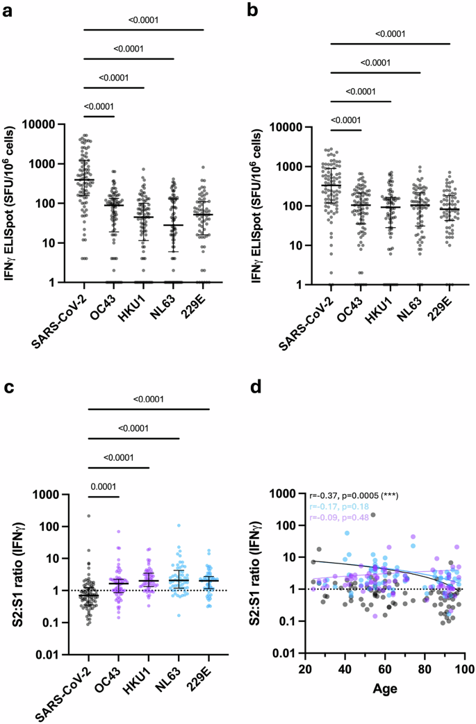 Fig. 4: Cellular response to SARS-CoV-2 and HCoV measured by FluoroSpot.