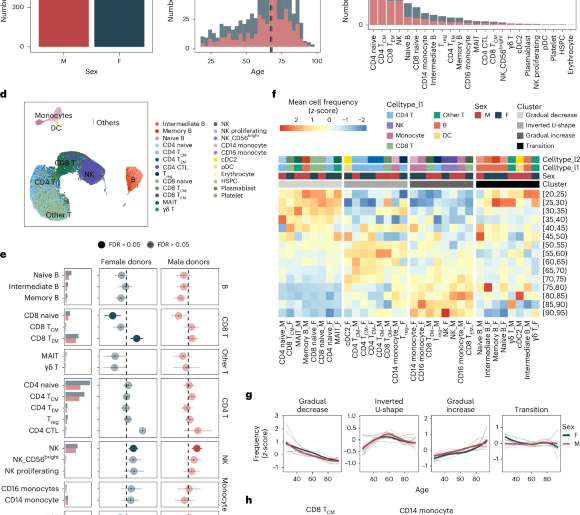 Single-cell analysis of the human immune system reveals sex-specific dynamics of immunosenescence