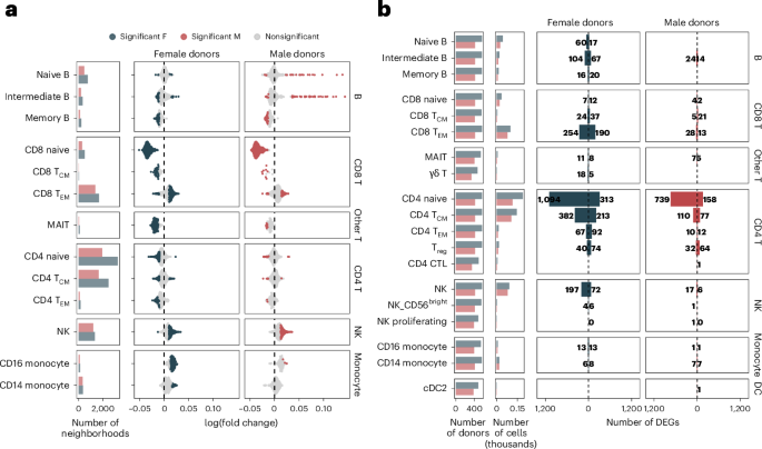 Biological sex shapes divergent trajectories of immune aging