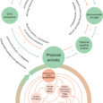 Benefit of physical activity initiatives for climate change mitigation and adaptation