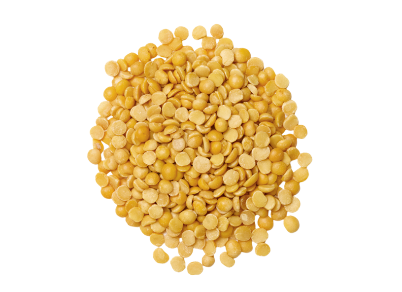 yellow split peas scattered on a white background