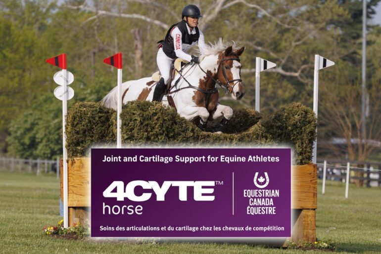 A woman jumping a pinto horse over a cross-country fence; and inset 4CYTE logo.