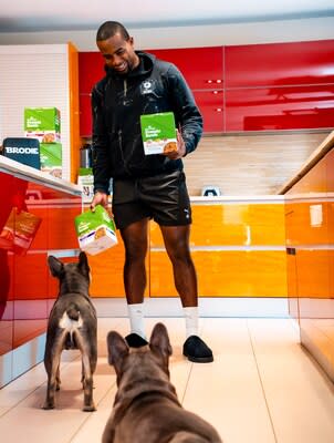 Alex Toussaint teams up with Wellness Pet Company to champion shared wellbeing and healthier, happier lives for pets and pet parents