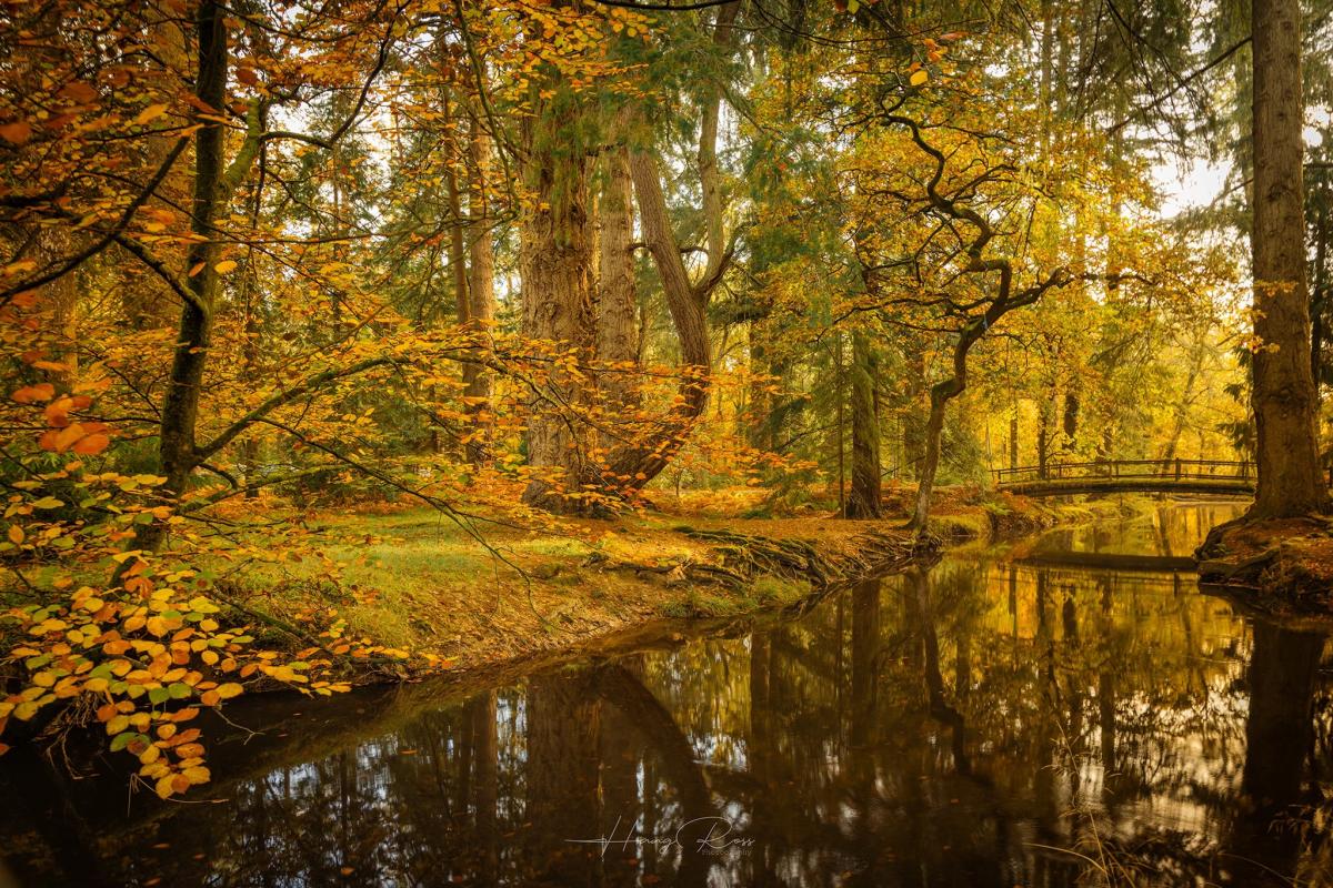Sandy Balls Holiday Village unveils Song of the Forest wellness experience for guests