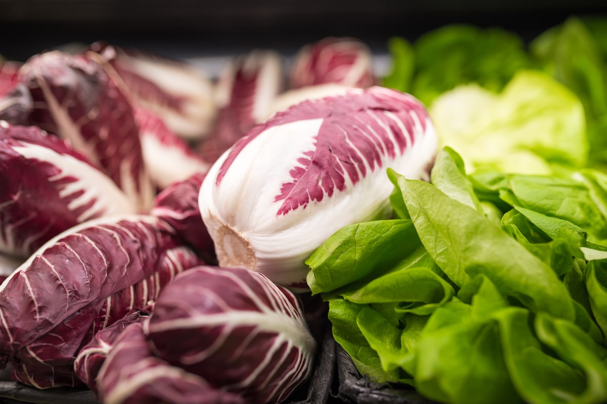 Plant-rich diets linked to lower risk of Alzheimer’s, but quality matters