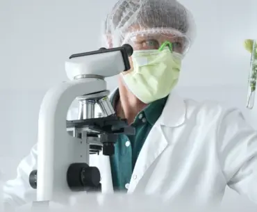 Nutrition Insight logo