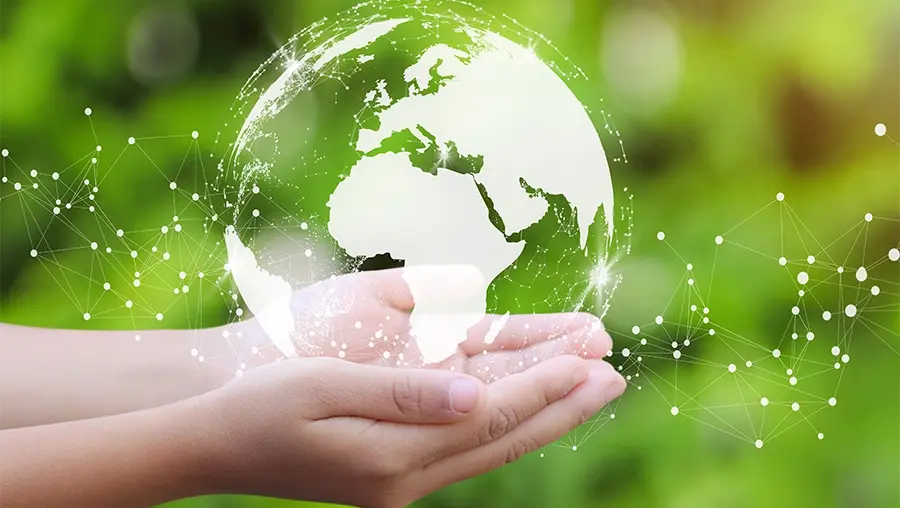 Nutrition Insight logo