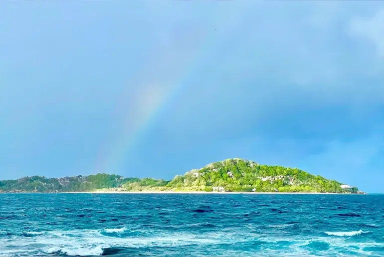 Nutrition Insight logo