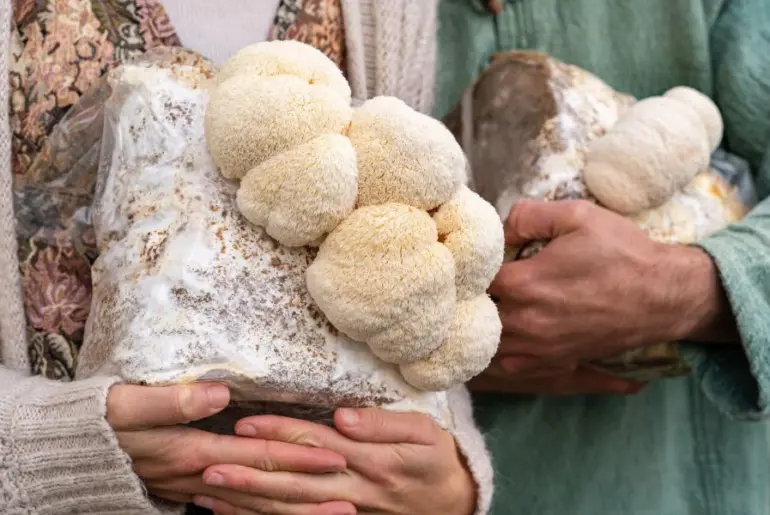 Nutrition Insight logo