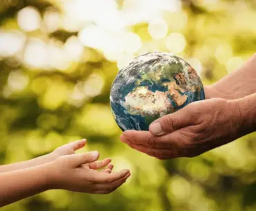 Nutrition Insight logo