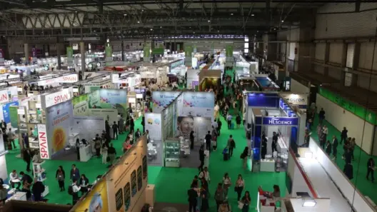 Nutrition Insight logo