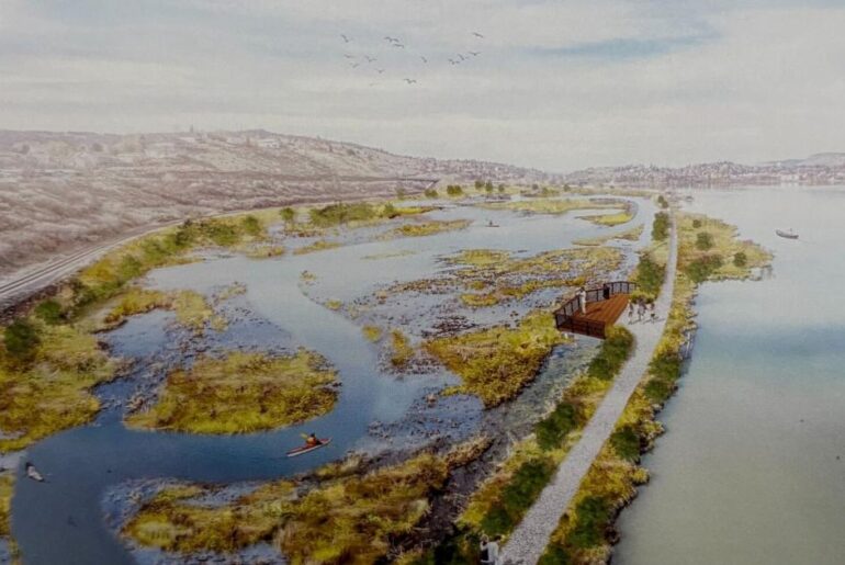 Lake Ewauna Wellness Project aims to restore wetlands in Klamath Basin