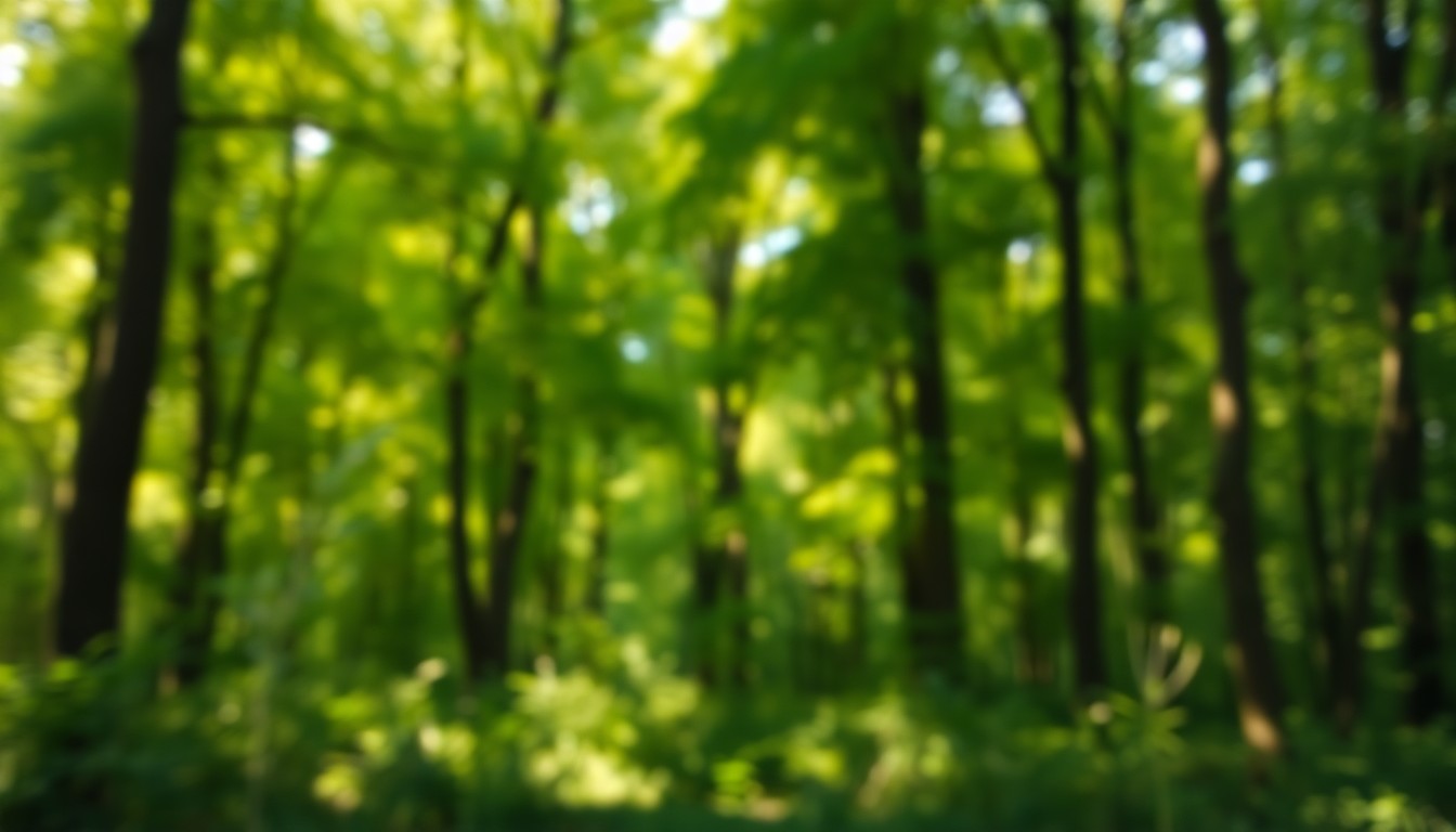 An abstract, impressionistic scene of a dense forest with blurred, hazy foliage and soft, warm lighting, conveying a sense of tranquility and connection with the natural world.