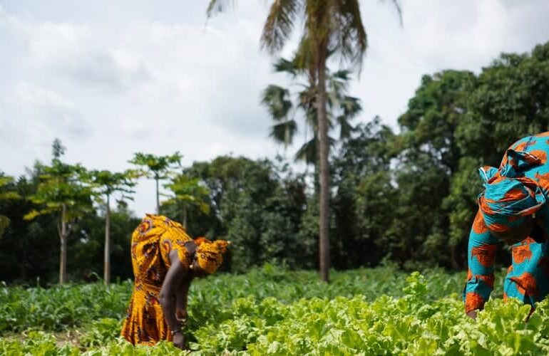 Fertilizer Market Trends: Micronutrient Enrichment, Balanced Nutrition & Industry Forecast to 2034