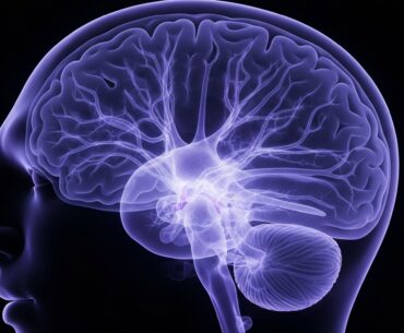 A translucent X-ray image showing the intricate structures of the human brain, with glowing neural pathways and regions highlighted in shades of blue and purple against a dark background, conveying the complex effects of vitamin D on brain health.