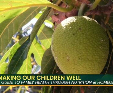 Rediscovering What Our Kūpuna Knew About Nutrition