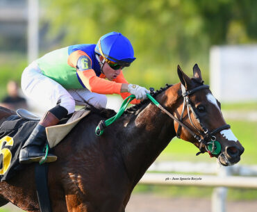 Brave, fast, and a strong finisher, courage was the banner for Herd Immunity