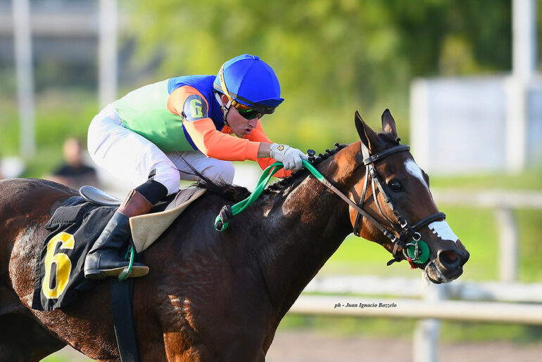 Brave, fast, and a strong finisher, courage was the banner for Herd Immunity