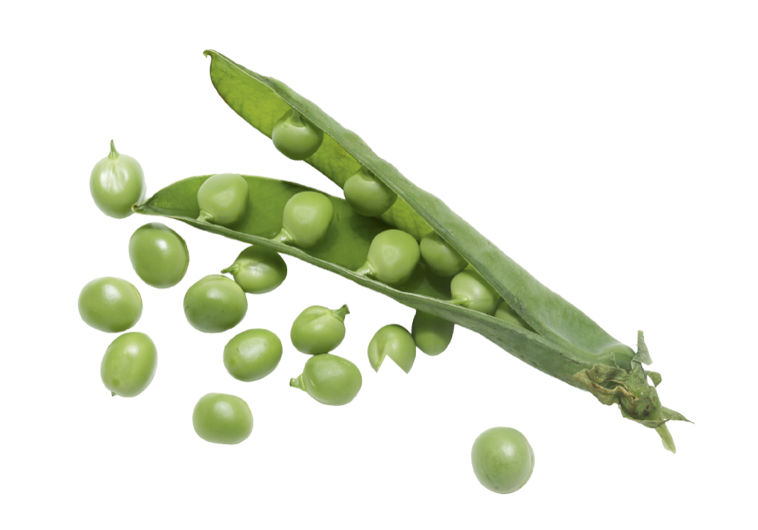 green pea pod with peas scattered around