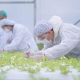 Research Topic Research topic image