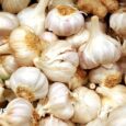 Cloves of garlic