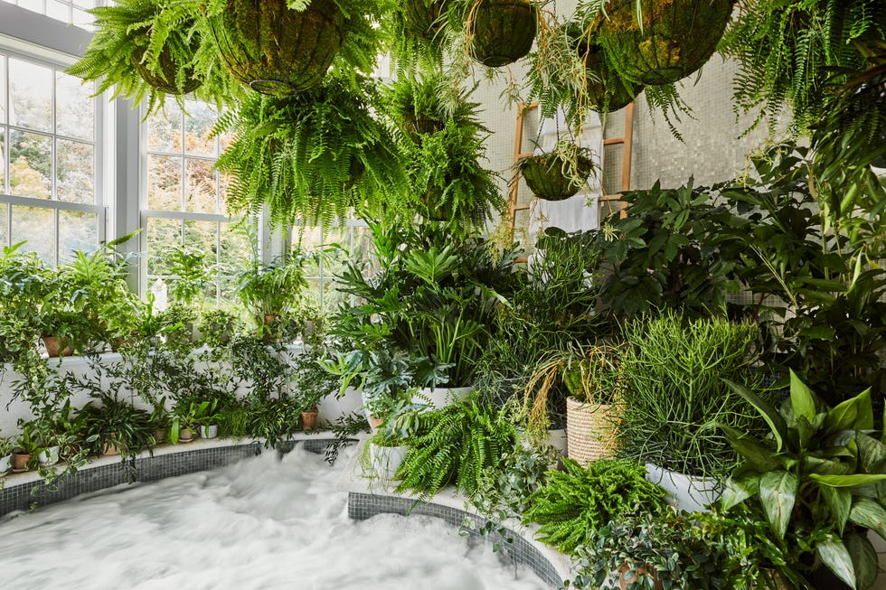 Lush indoor garden with various plants surrounding a soaking tub.