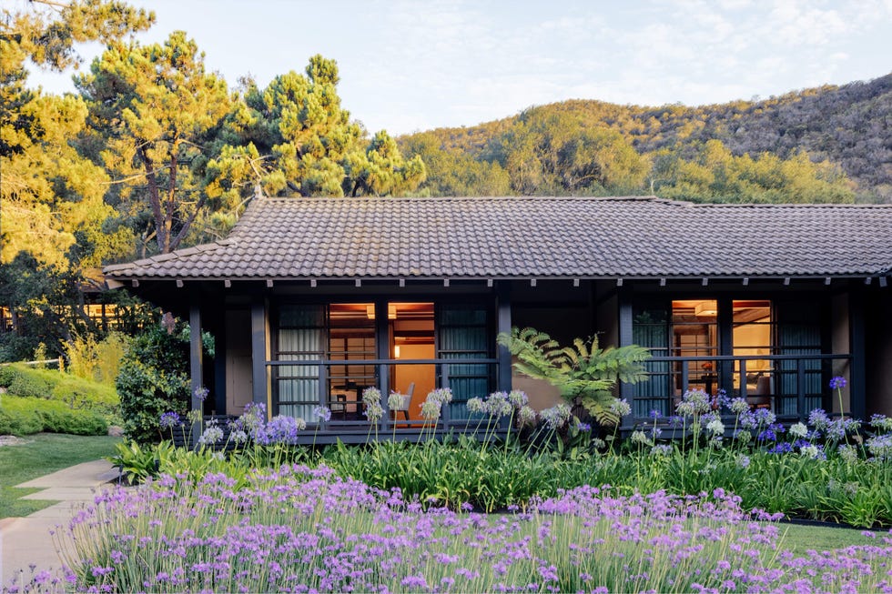 Single-story building surrounded by lush greenery and flowers.