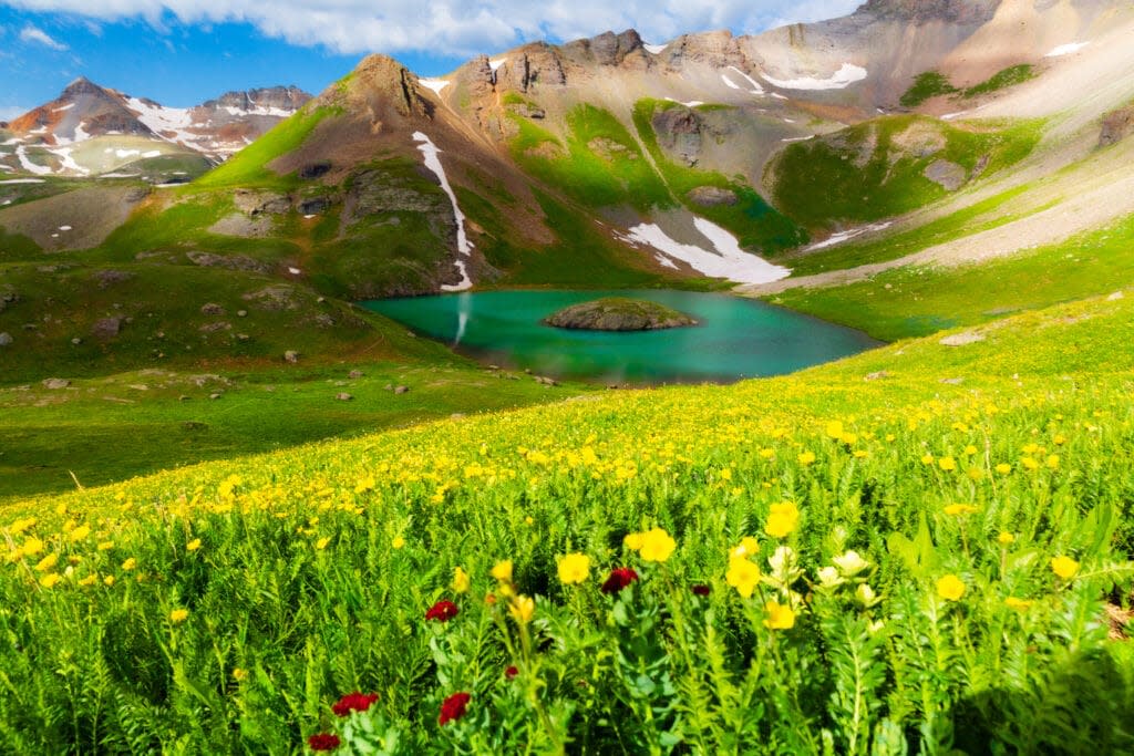 a field of flowers with a lake in the distance and mountains above