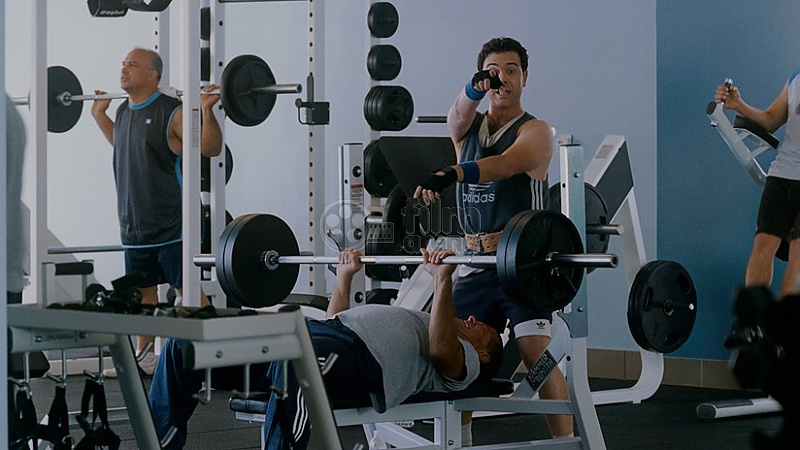 trainer tv movies i love you man