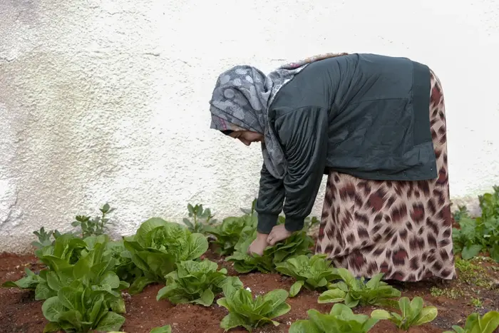 CERF support helps improve child nutrition and restore dignity for families in Syria - Syrian Arab Republic